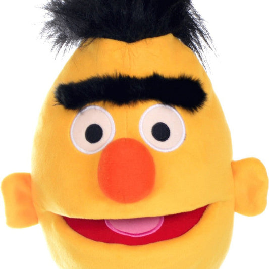 Sesame Street Bert